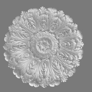 Rose 4