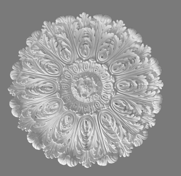 Rose 4