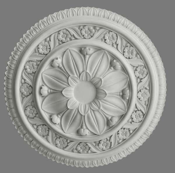 Rose 7