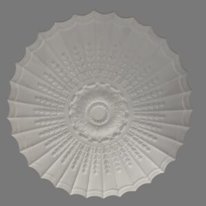 Rose 17