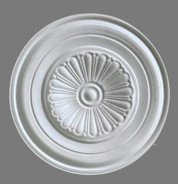 Rose C7 430mm £25