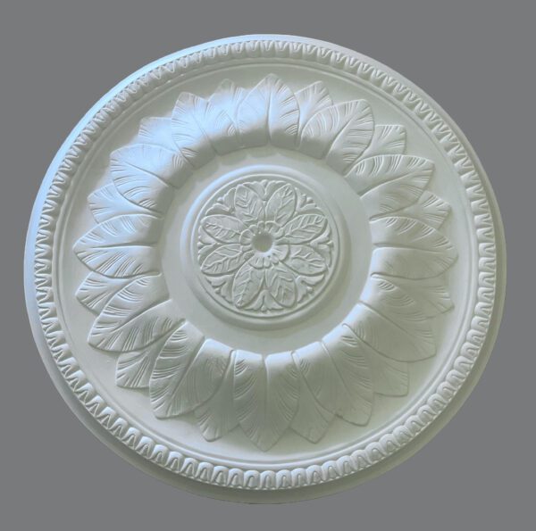 Rose C35 540mm £30